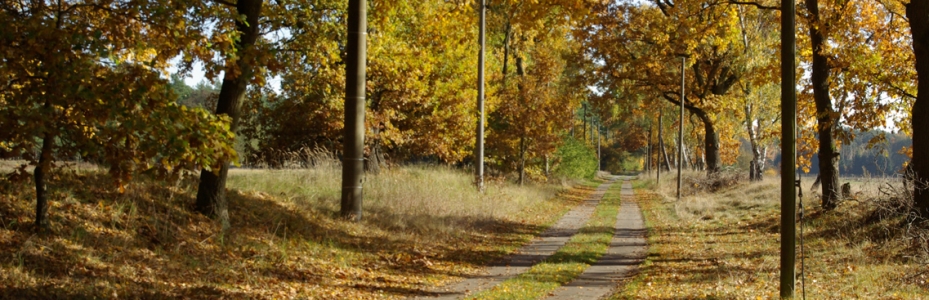 Herbst   Seestr